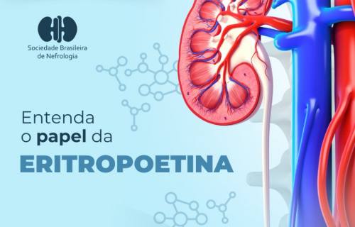 Entenda papel da Eritropoitina (EPO) no organismo