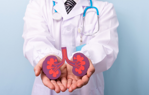 Orientações para transplante renal: guia completo para pacientes
