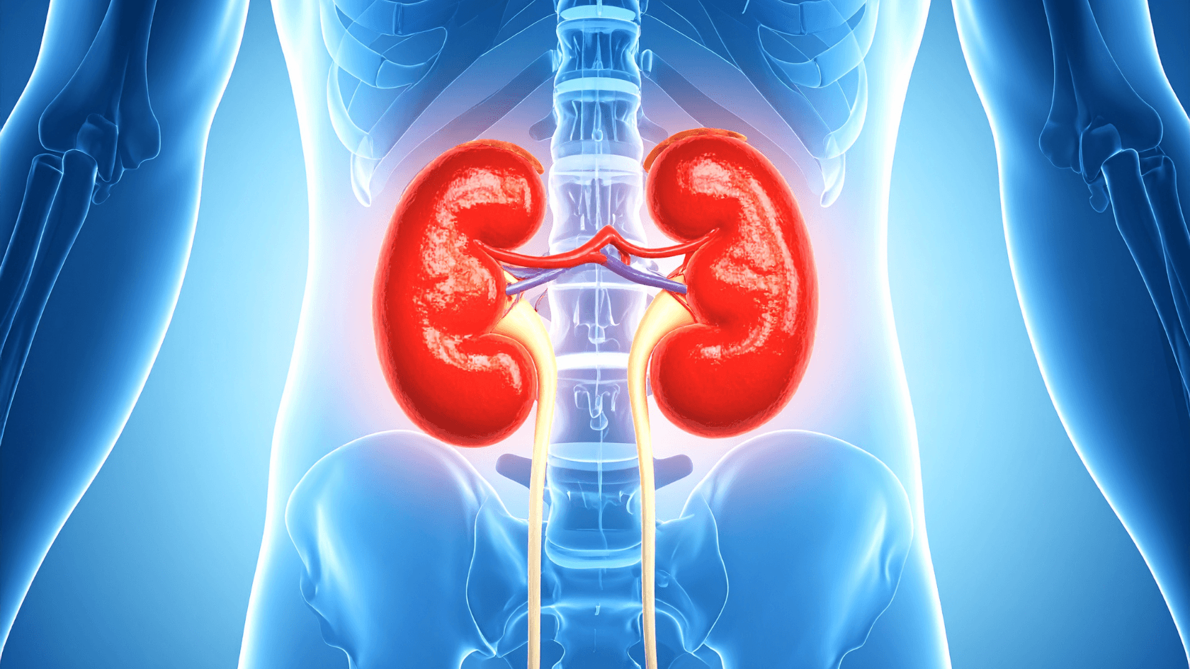 Insuficiência renal: tratamento, cuidados e como viver melhor
